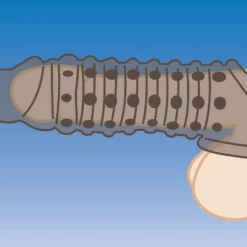 Size Matters - Guaina Estensione Pene - Fumo 8 Size Matters - Guaina Estensione Pene - Fumo -divertimento negozio 1635166733.AG576 Smoke 4